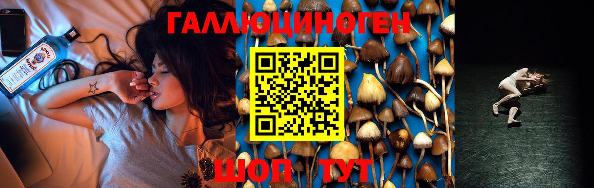 Псилоцибиновые грибы прущие грибы Кудымкар